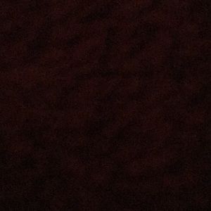 Meet your Posher, Evan